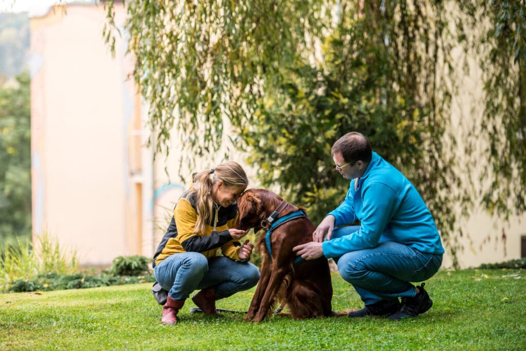 Hund der gestreichelt wird von einem Mann und einer Frau